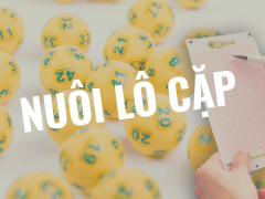 nuôi lô cặp
